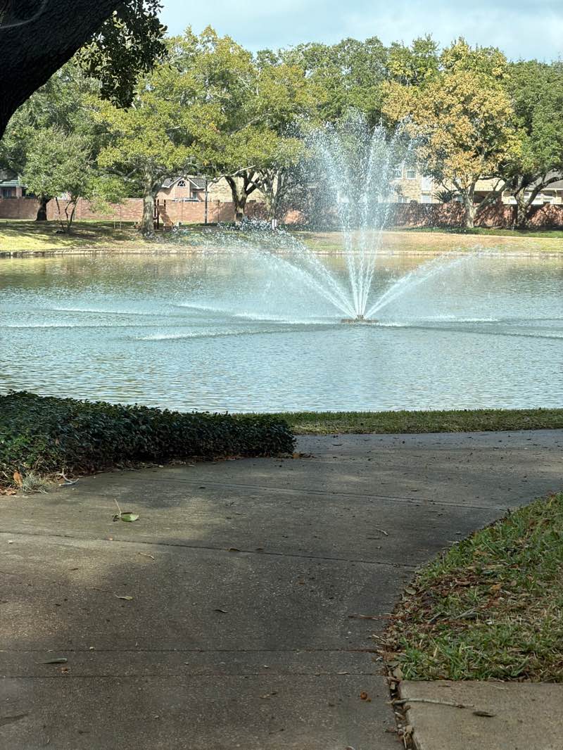 walking near me in Cinco Ranch South Lake Park in winter