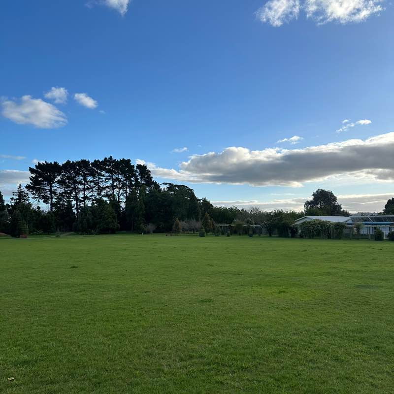 Lineage Tauriko Matthew post image