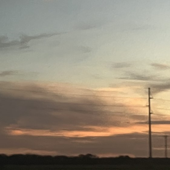 Explore the seasons Madeleine post image