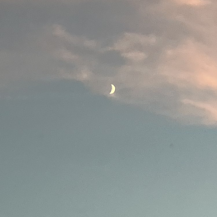 Explore the seasons Madeleine post image