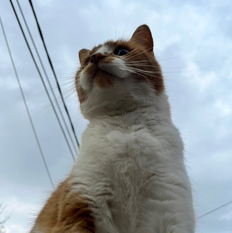 Francisco