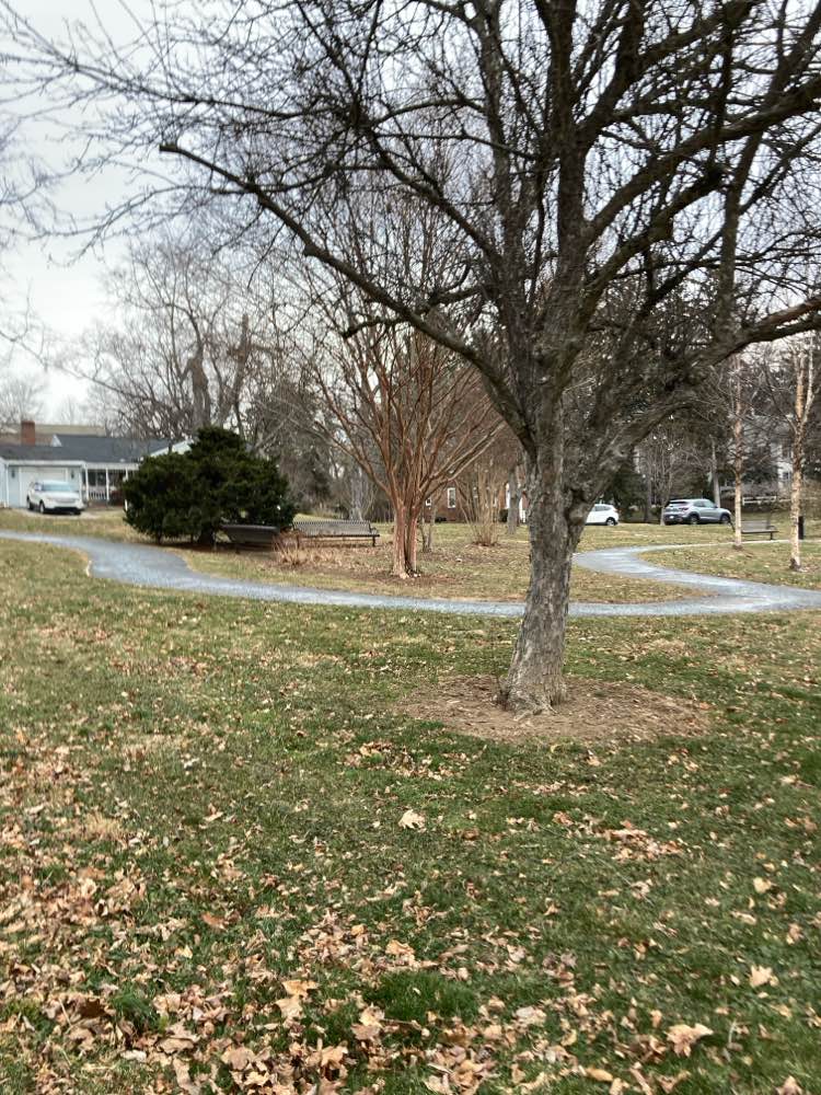 walking near me in Beverly Park in winter