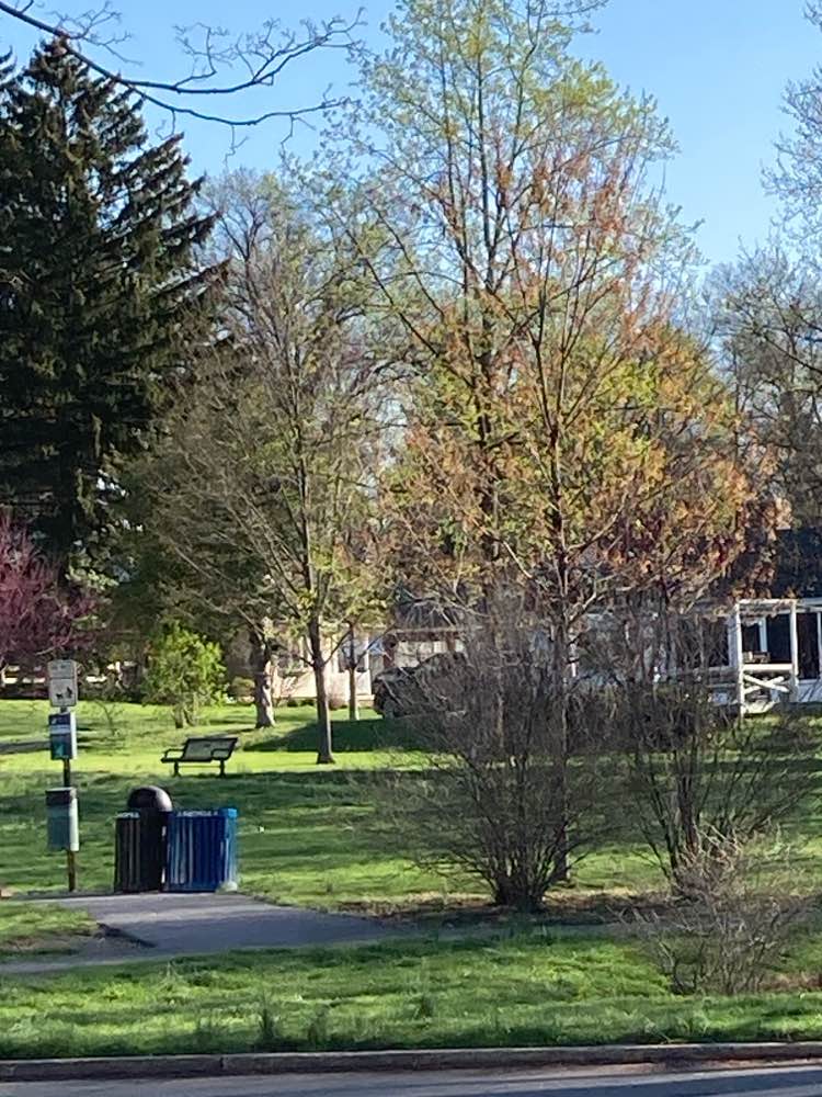 walking near me in Beverly Park in spring