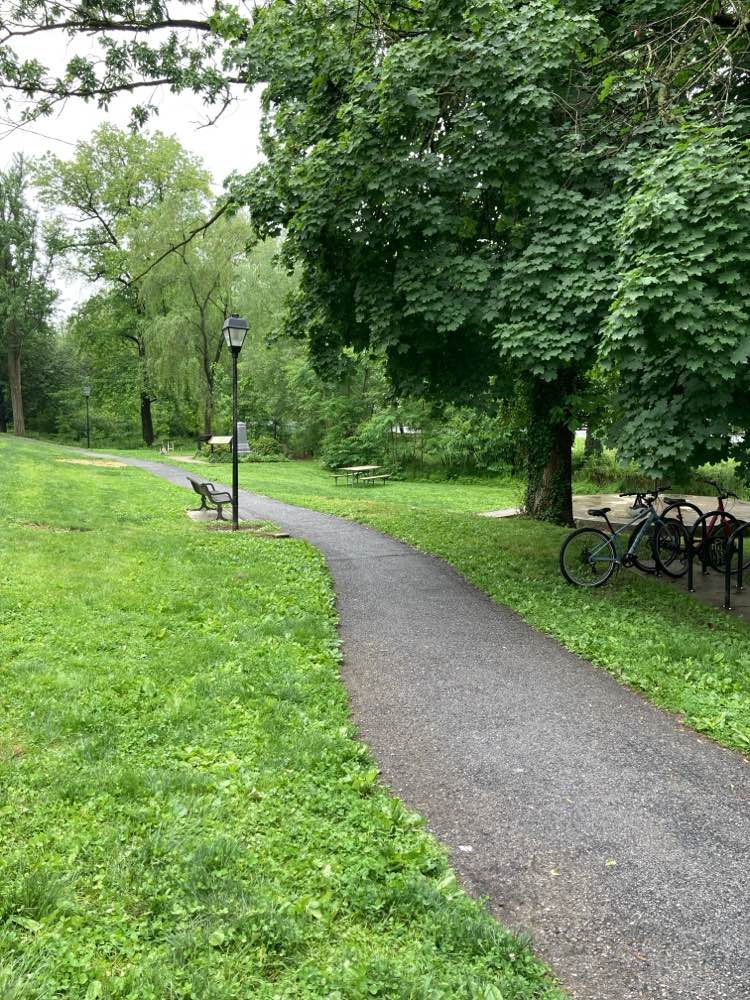 walking near me in Willow Park in summer