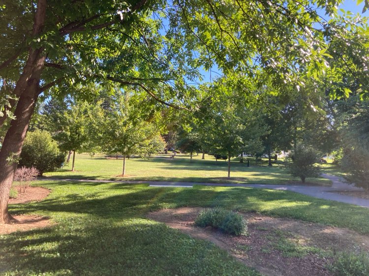 walking near me in Beverly Park in summer