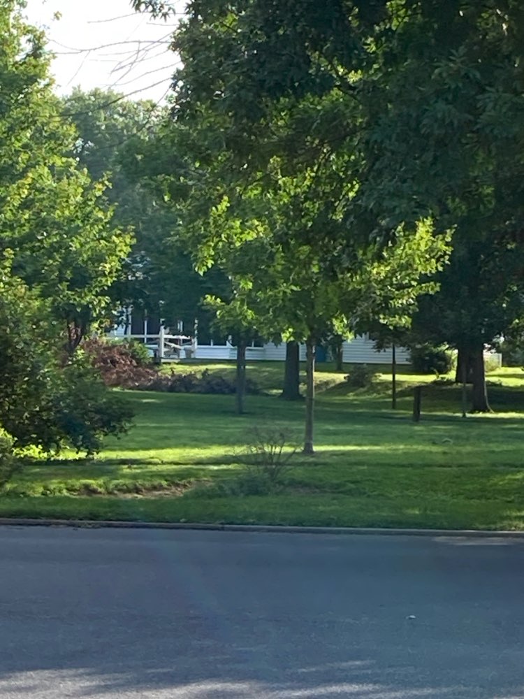 walking near me in Beverly Park in summer