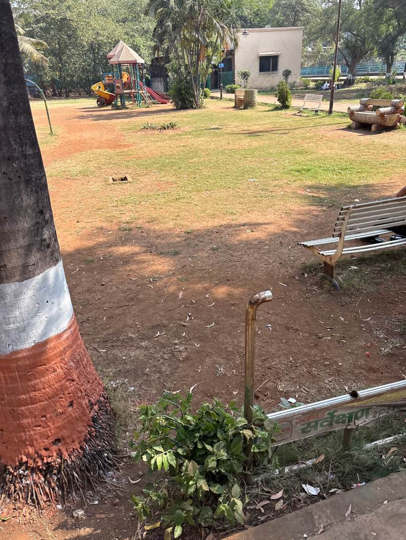 walking near me in Chincholi Park in winter