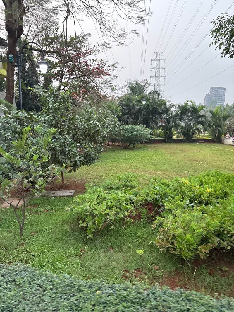 walking near me in Dr. Babasaheb Ambedkar Park in winter