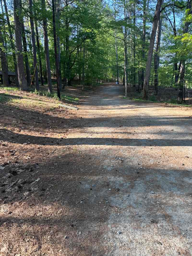 walking near me in Murphey Candler Park in spring