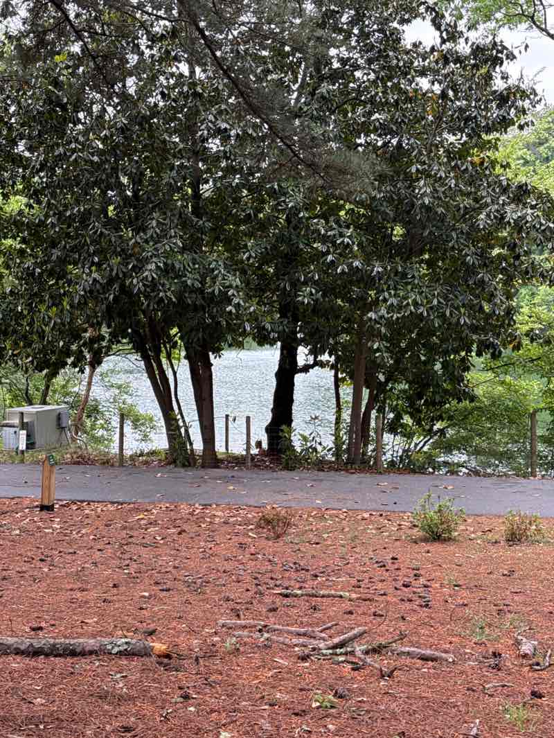 walking near me in Sims Lake Park in spring