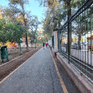 ESandoval Marín profile