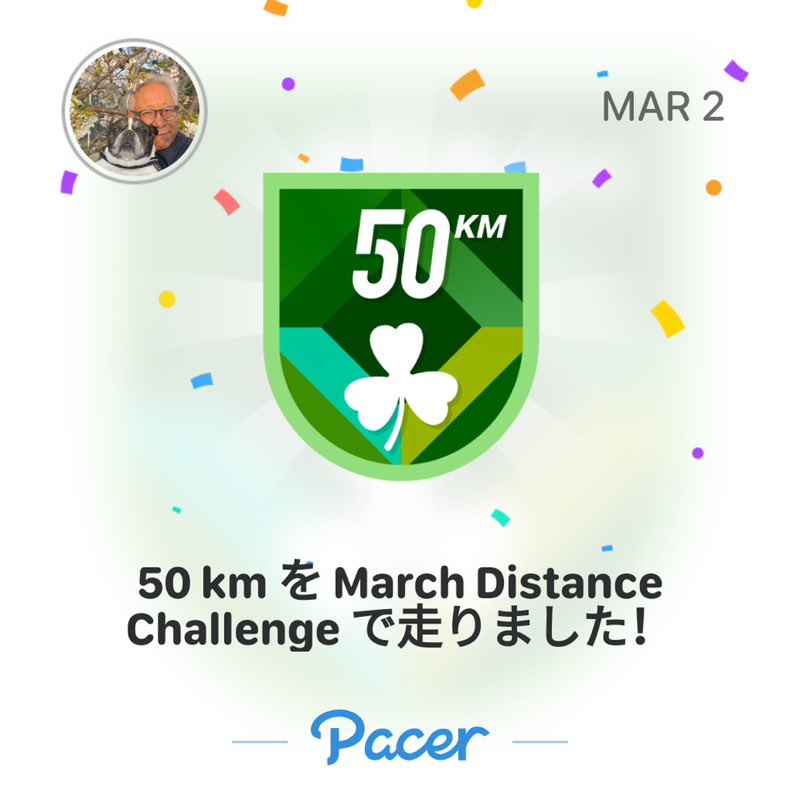 Ankara Yoshi Saito post image