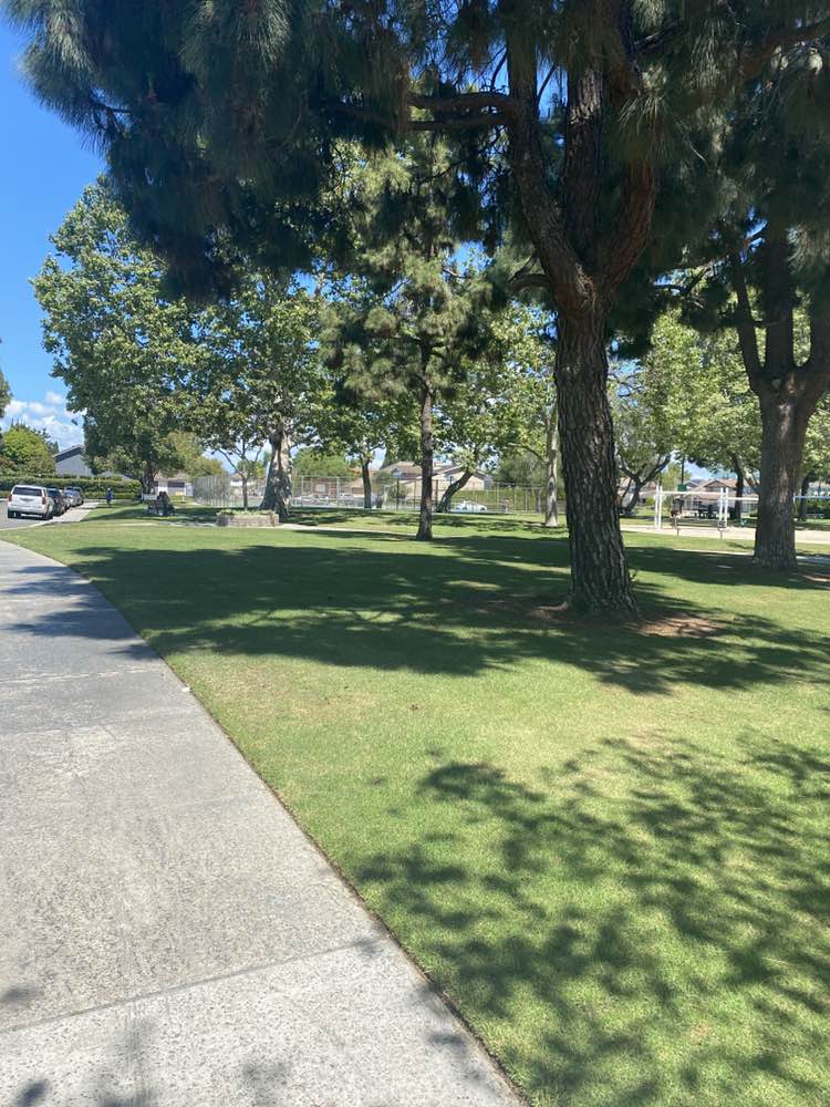 walking near me in Ellis Park in spring