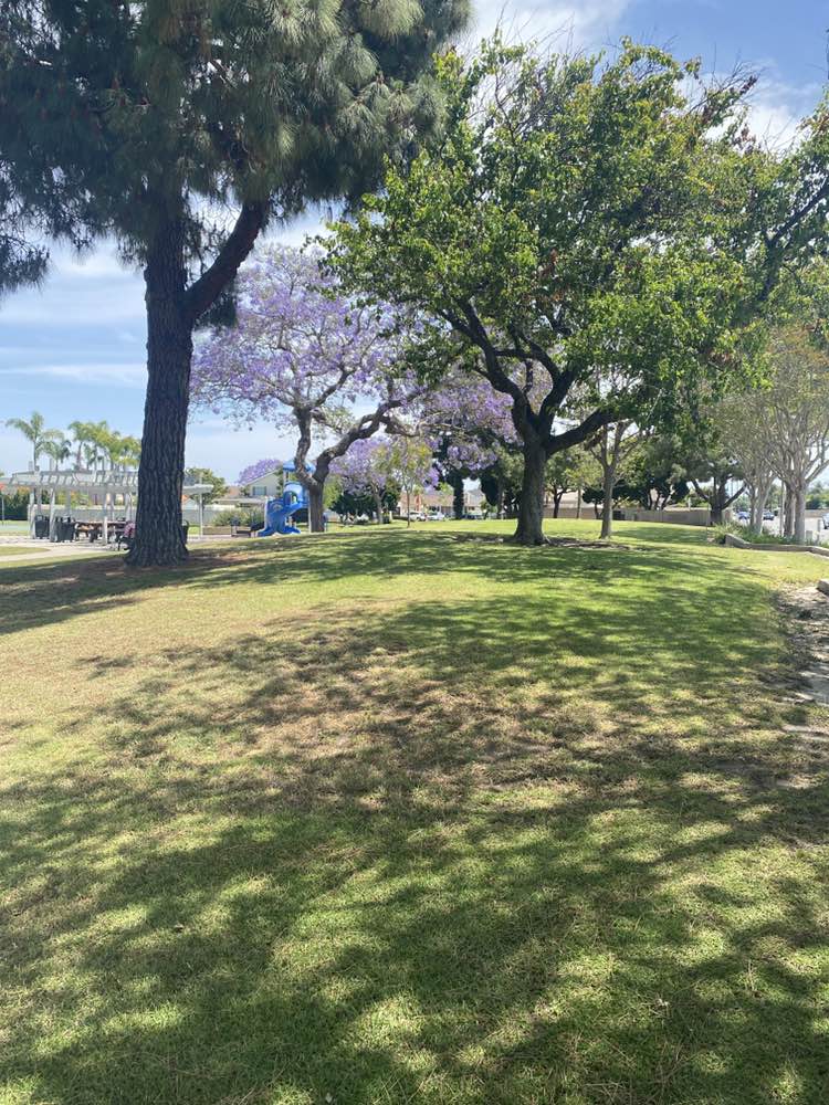 walking near me in Ellis Park in spring
