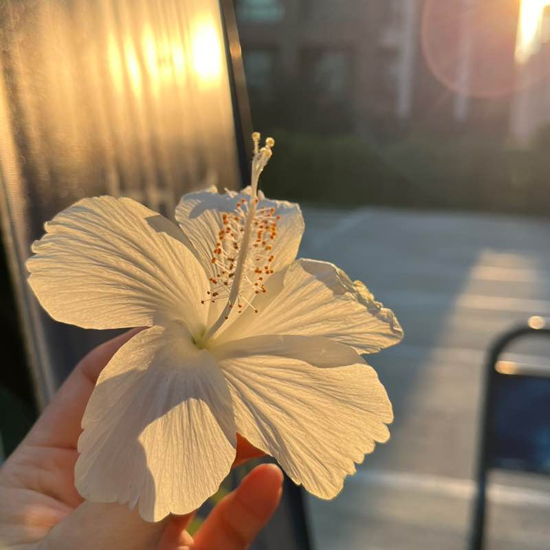 中聰孫藝真 post 1