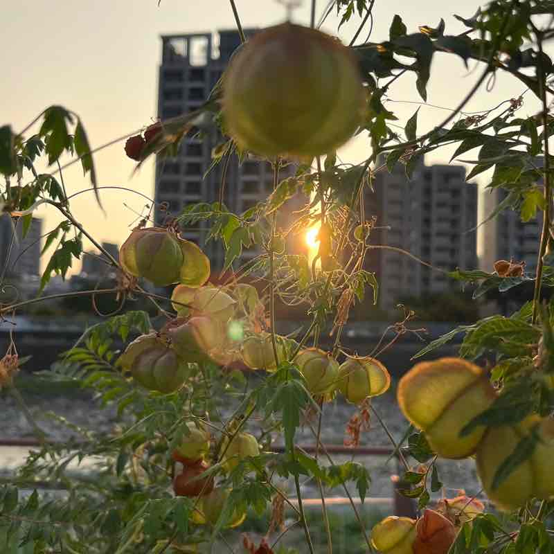 中聰孫藝真 post 3