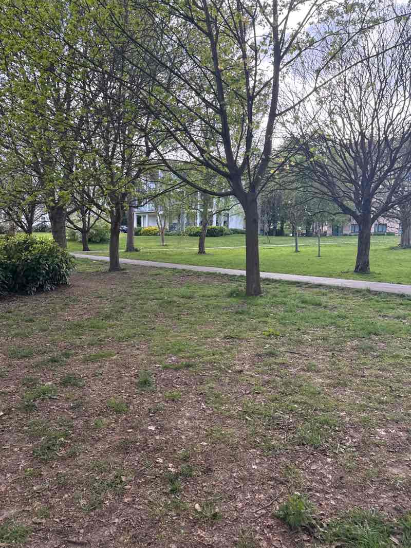 walking near me in Dowding Park in spring