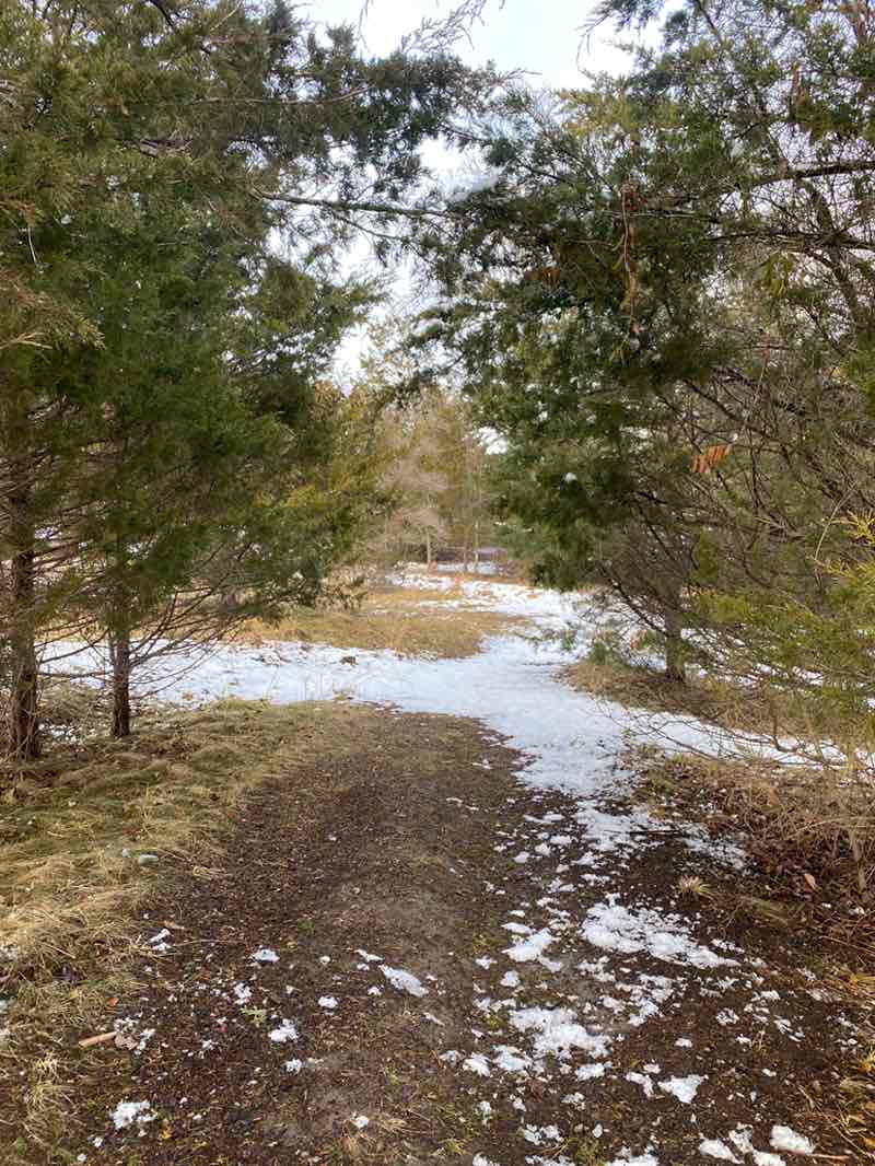 walking near me in Lake Linganore Disc Golf Course in winter