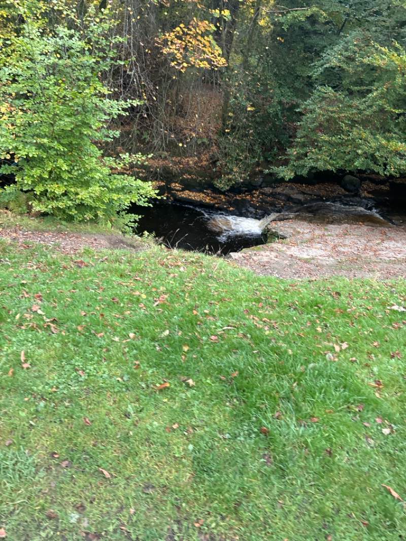 walking near me in Dean Castle Country Park in autumn