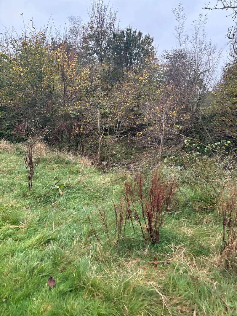 walking near me in Kay Park in autumn