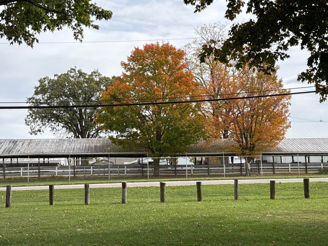 walking near me in Crawford County Fairgrounds in autumn
