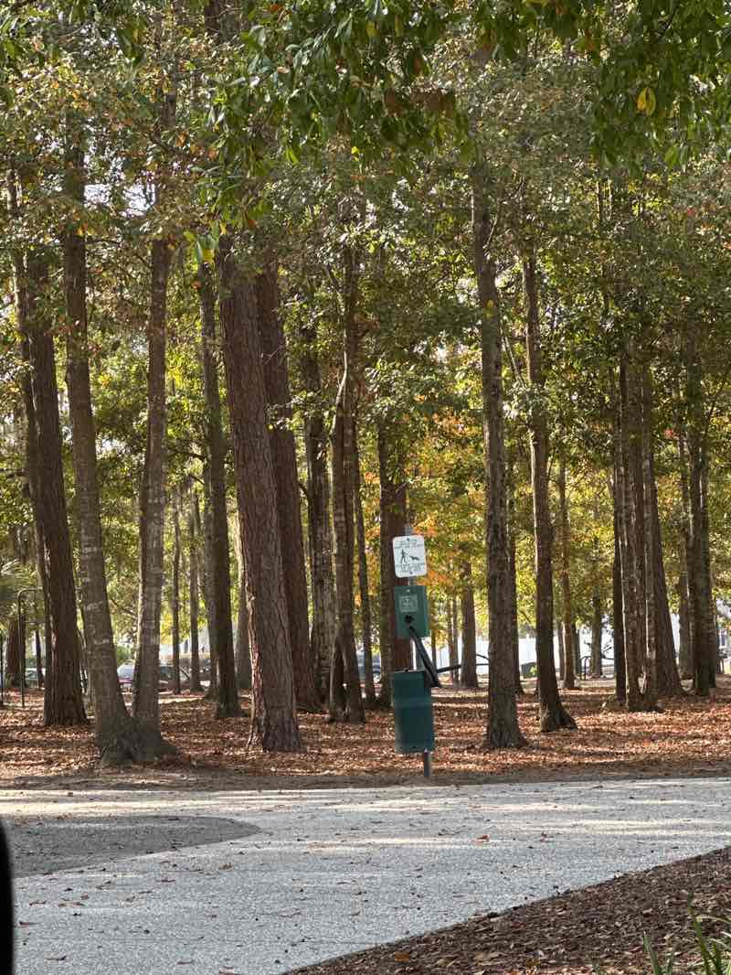 walking near me in Oscar Frazier Fitness Trail in autumn