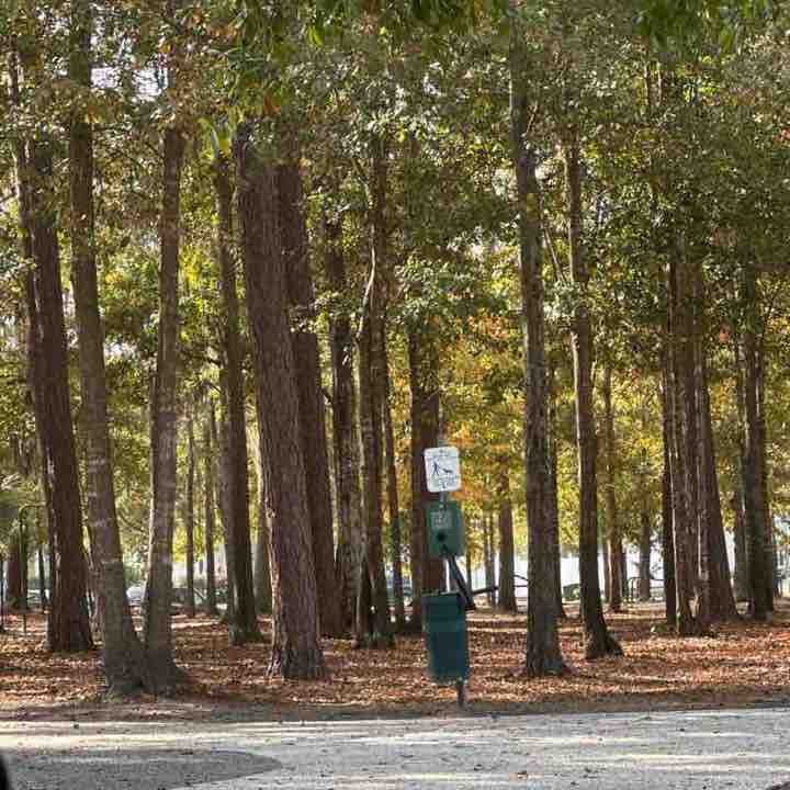 Chipmunkonspeed post 1