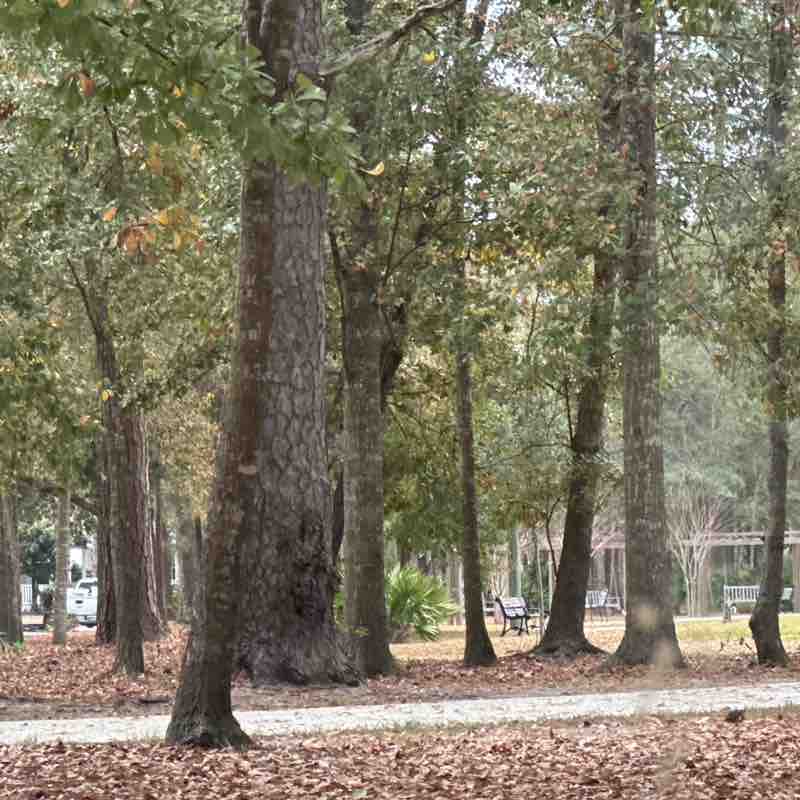 Chipmunkonspeed post 1