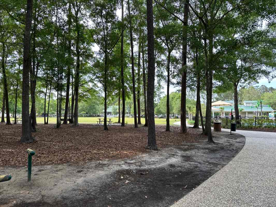 walking near me in Oscar Fraizer Park in spring