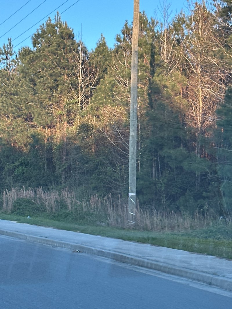 walking near me in Burgess Park in spring