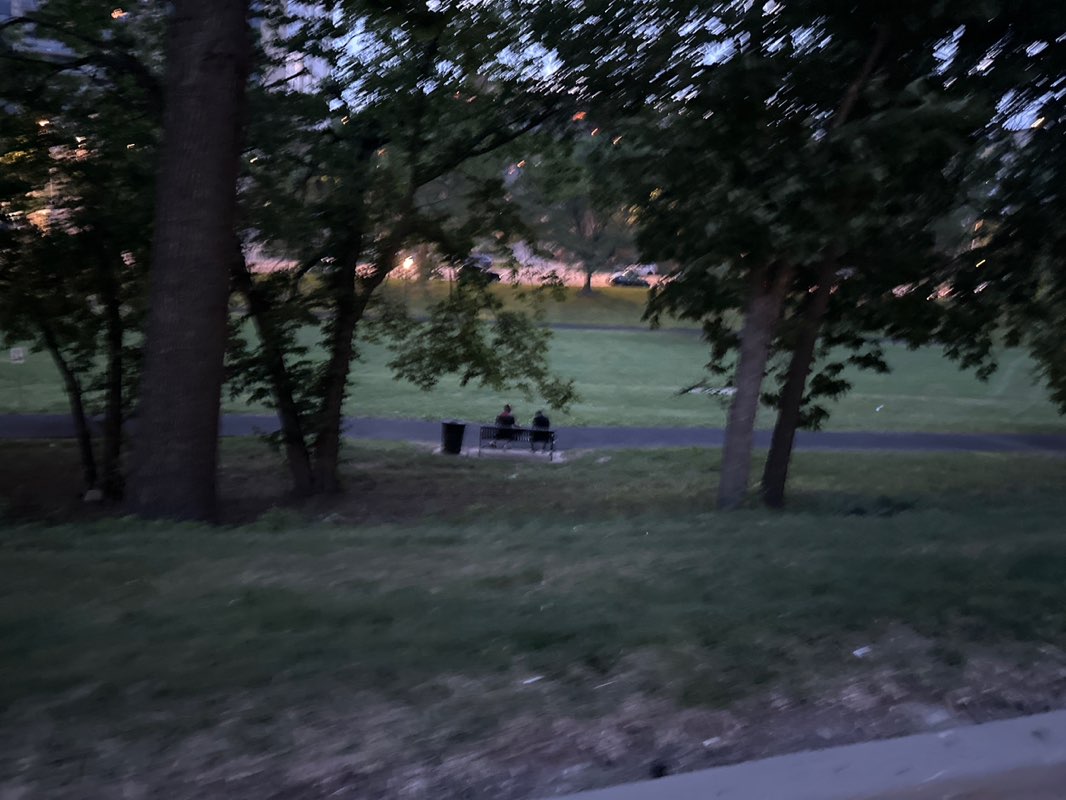 walking near me in Mill Creek Park in summer