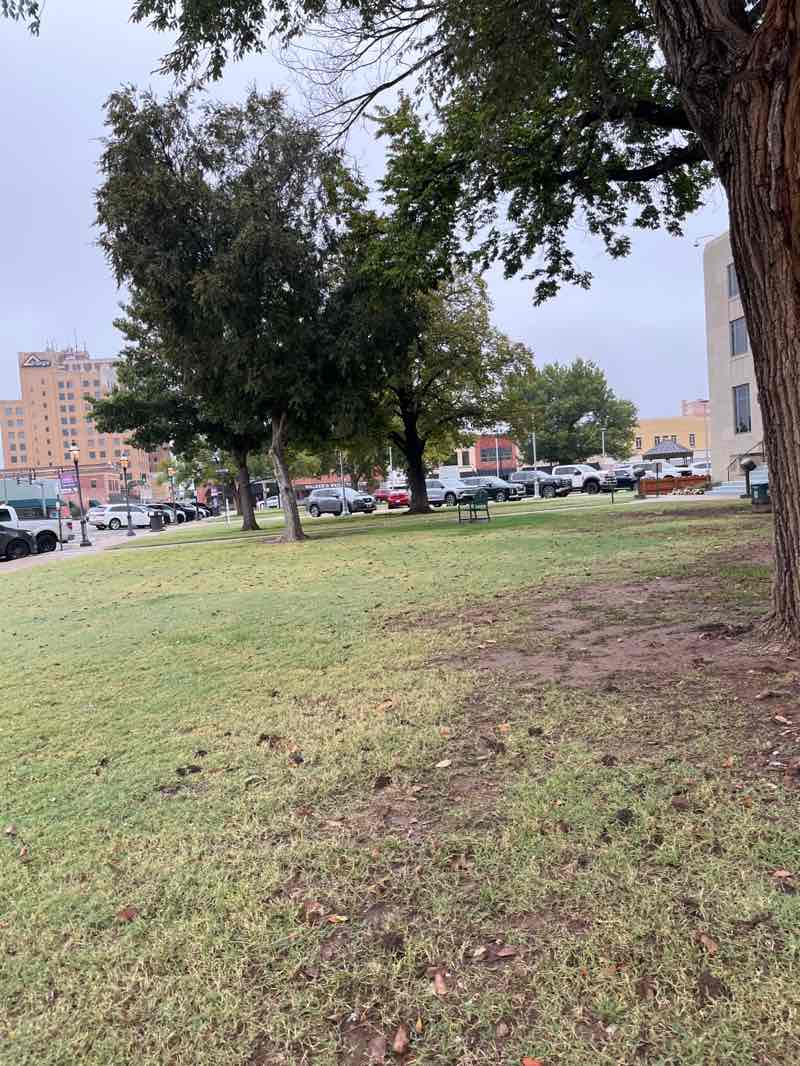 walking near me in Courthouse Lawn in autumn