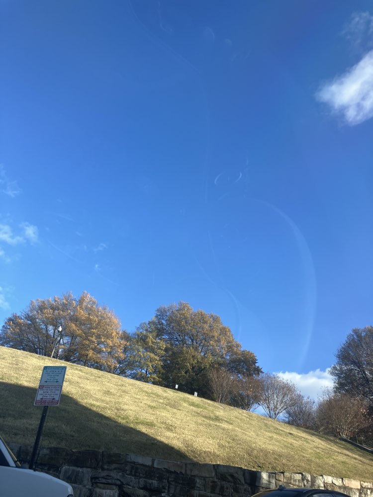 walking near me in Federal Hill Park in autumn