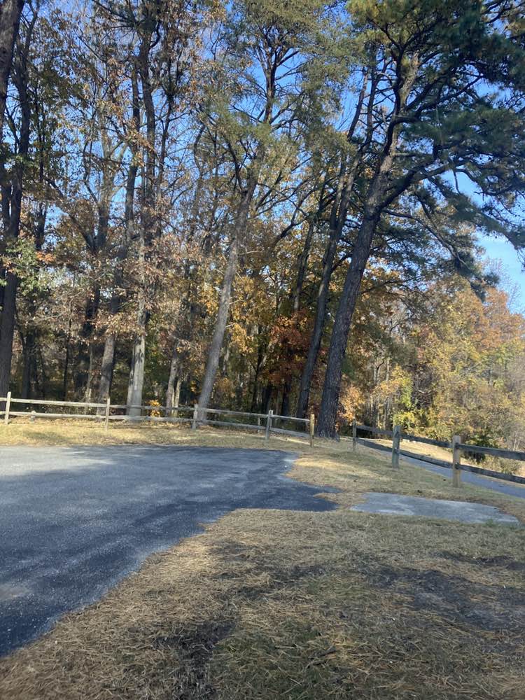 walking near me in Queenstown Park in autumn