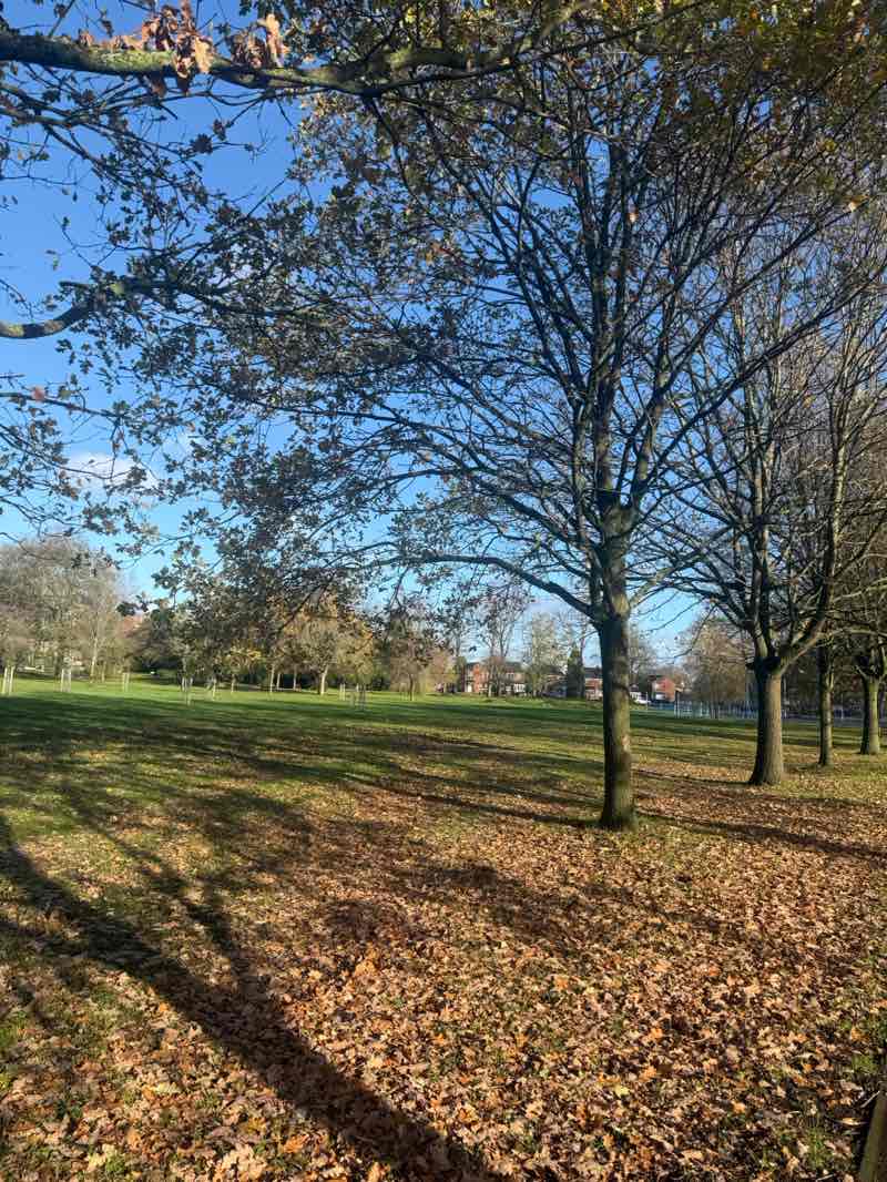 walking near me in Calthorpe Park in autumn