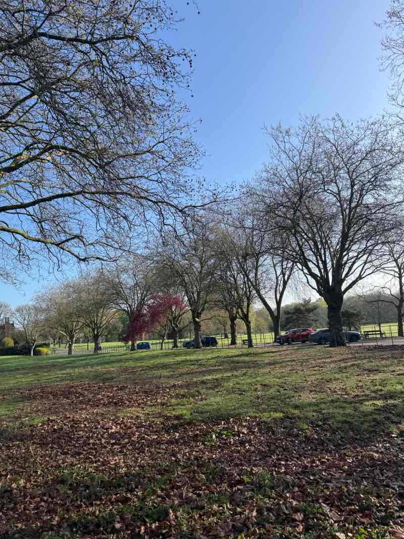 walking near me in Aston Park in spring
