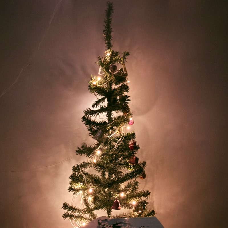 walktolive921309 profile