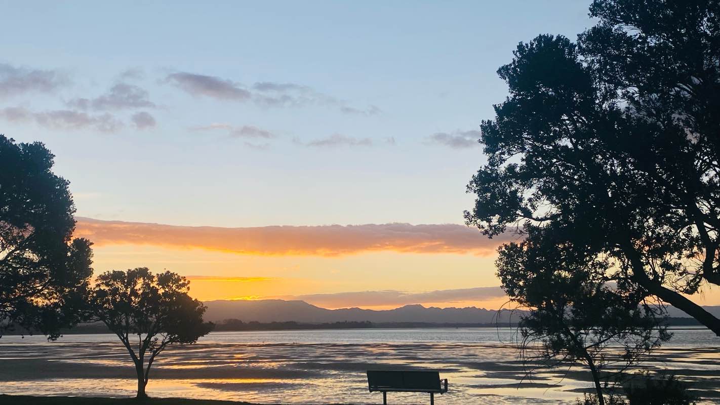 walking near me in Fergusson Park in spring