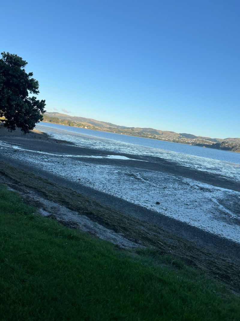 walking near me in Ngāti Toa Domain in autumn