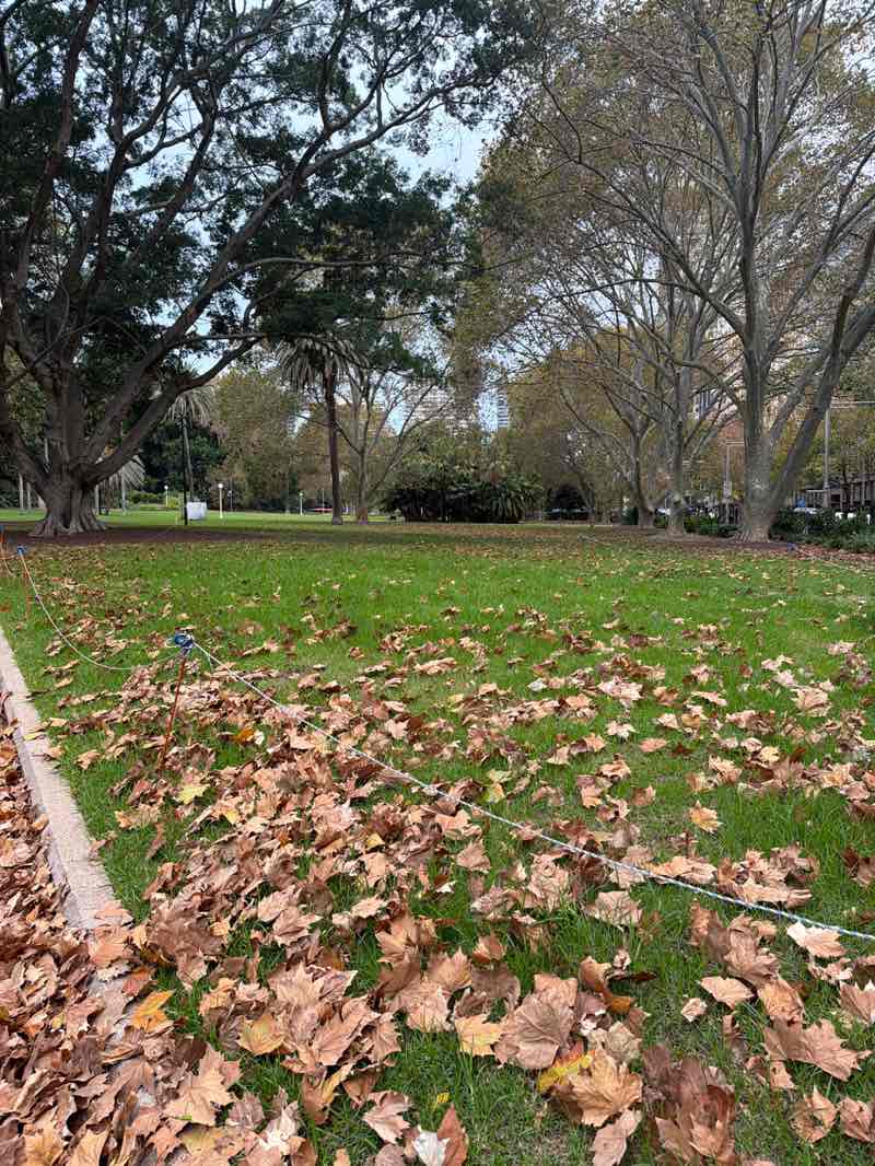 walking near me in Hyde Park in winter