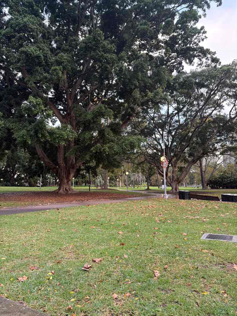 walking near me in Hyde Park North in winter