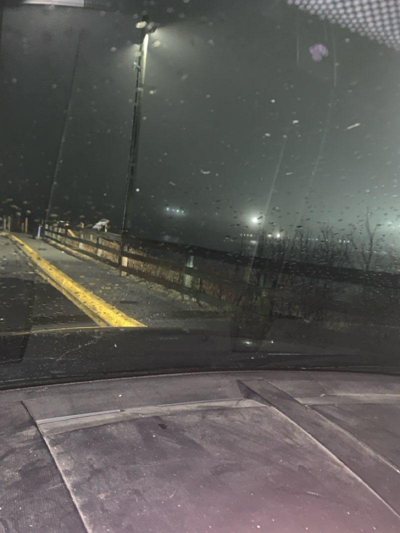 walking near me in Fallsview Park in spring