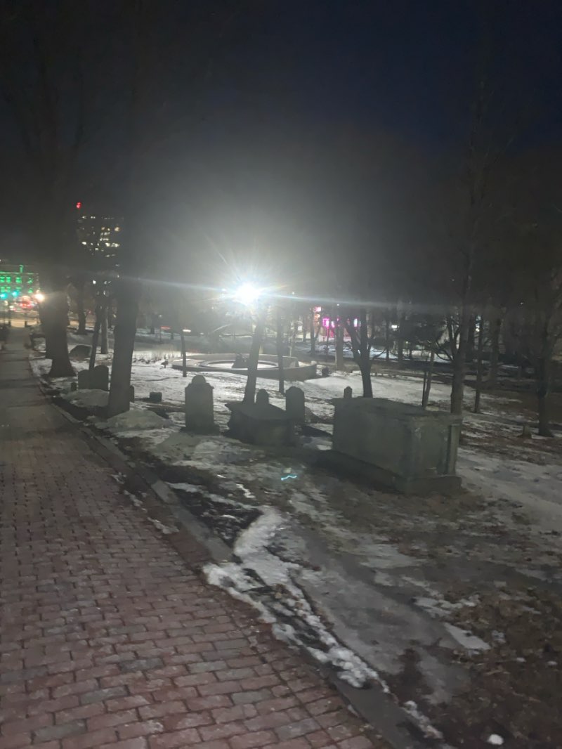 walking near me in Loyalist Burial Ground in spring