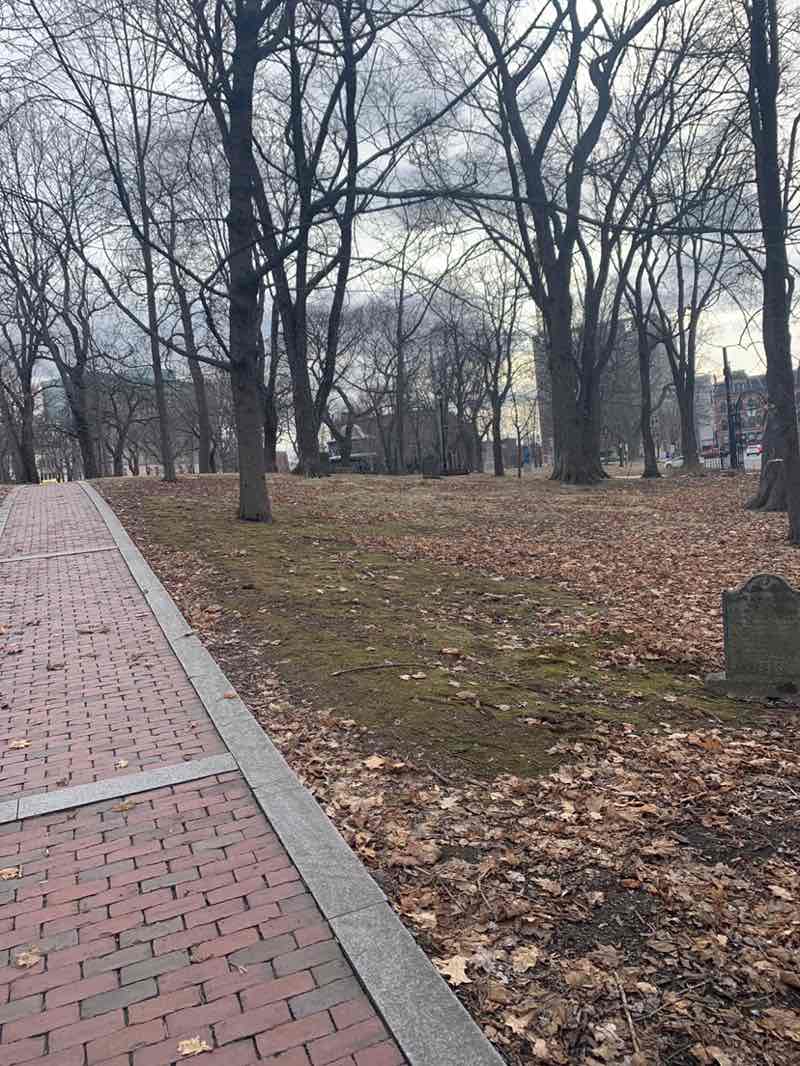 walking near me in Kings Square in spring