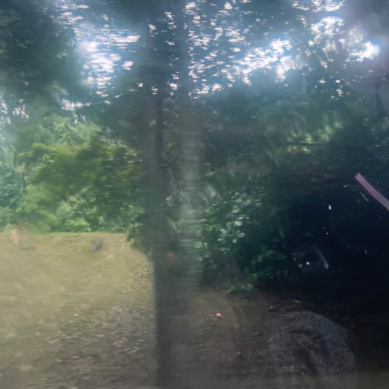 Banu post 1