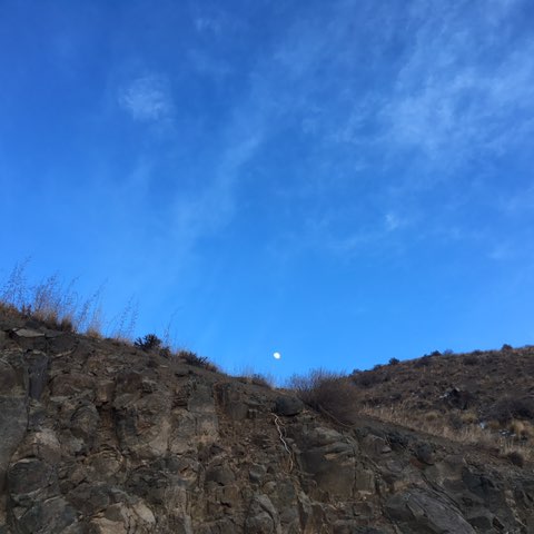 Arasch The Ors post 2