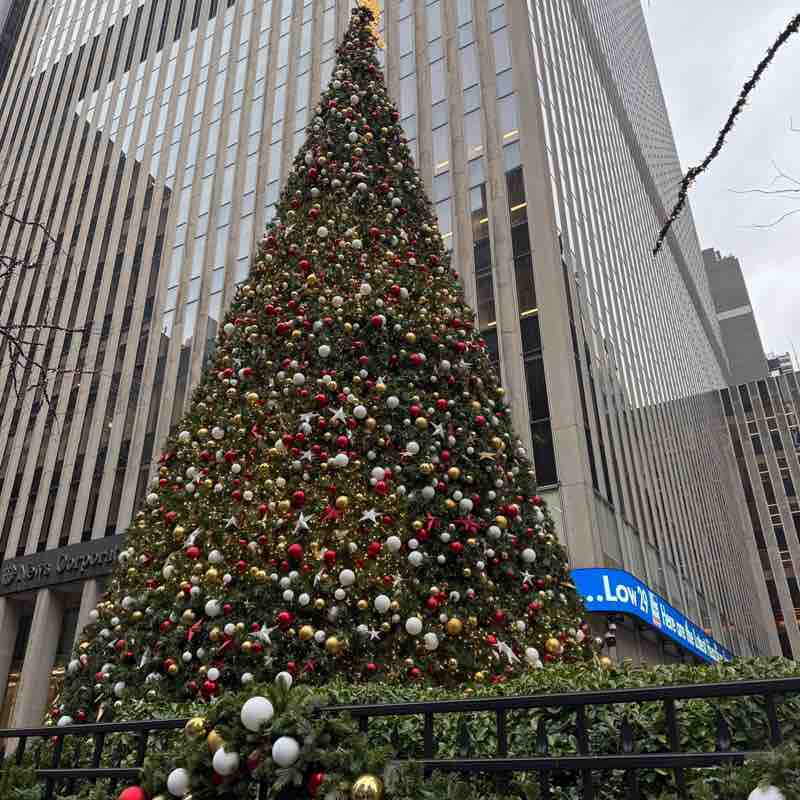 ๐๐บ๐ธNEW YORK๐บ๐ธ๐ Maryam post image