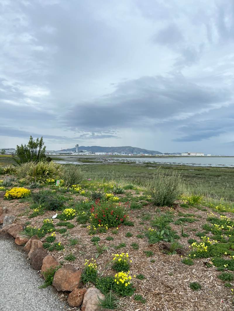 walking near me in Bayfront Park in spring