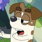 Cassies Middleton And Cassius Miles Middleton profile