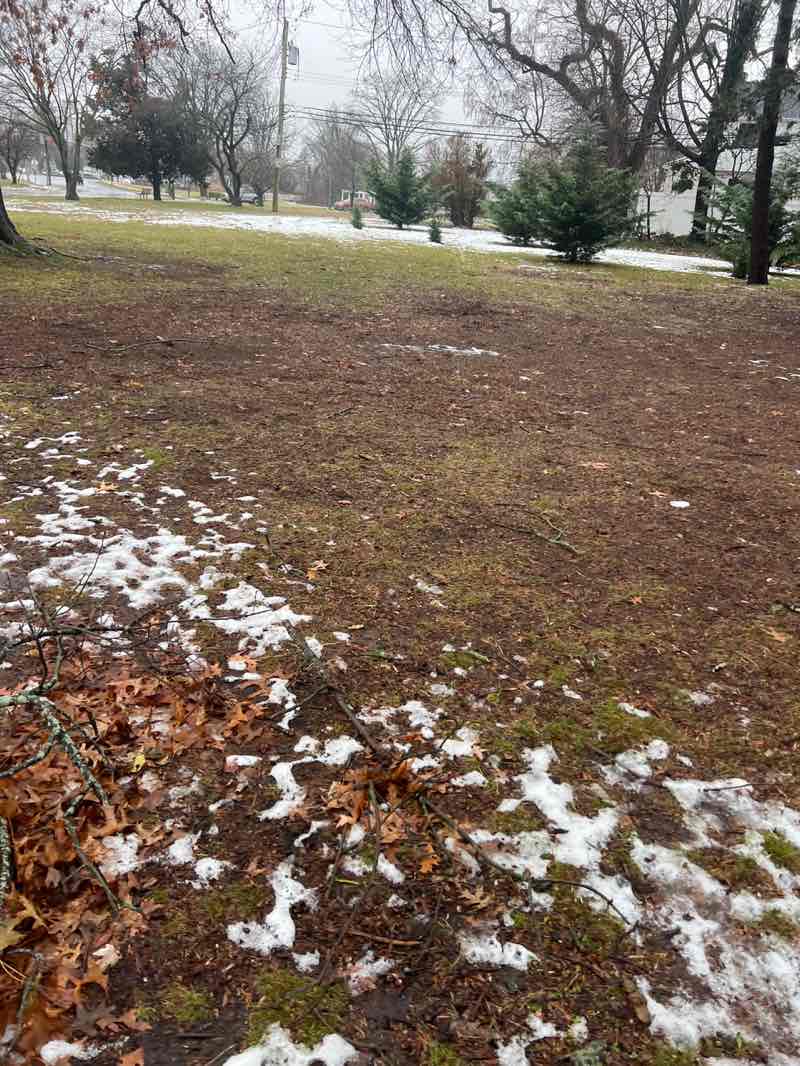walking near me in Edward W. Cahill Memorial Park in winter